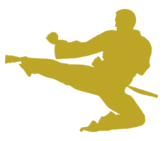 Silhouette von kriegerisch Künstler trete, Taekwondo, Karate, pencak Silat, Kung-Fu, zum Logo oder Grafik Design Element. Format png