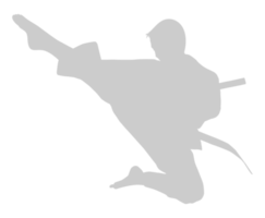 silhuett av krigisk konstnär sparka, taekwondo, karate, pennkaka silat, kung Fu, för logotyp eller grafisk design element. formatera png