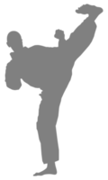 Silhouette of Martial Artist Kick, Taekwondo, Karate, Pencak Silat, Kungfu, for Logo or Graphic Design Element. Format PNG