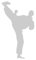 Silhouette of Martial Artist Kick, Taekwondo, Karate, Pencak Silat, Kungfu, for Logo or Graphic Design Element. Format PNG