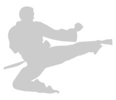 Silhouette of Martial Artist Kick, Taekwondo, Karate, Pencak Silat, Kungfu, for Logo or Graphic Design Element. Format PNG