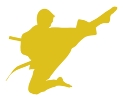 Silhouette von kriegerisch Künstler trete, Taekwondo, Karate, pencak Silat, Kung-Fu, zum Logo oder Grafik Design Element. Format png