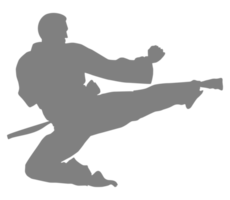 silhuett av krigisk konstnär sparka, taekwondo, karate, pennkaka silat, kung Fu, för logotyp eller grafisk design element. formatera png