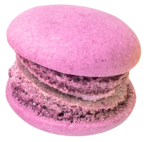 violet macaron pour décoratif png