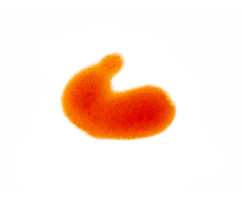 tomate molho Espirrar isolado elemento png