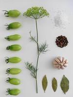 Ingredients for pickling green tomatoes. Concept culinary recipe preservation of vegetables in harvest season. Assorted tomatoes, garlic, dill, salt, pepper and bay leaf. Knolling concept. photo