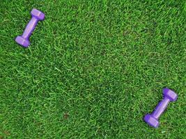 Keeping fit and exercising outdoor or at home. Purple dumbbells on green grass lawn in a backyard or park. The concept of nature, happy healthy lifestyle. Place for your text on green grass. photo