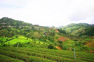 colina tribu pueblo y té plantación en amanecer en el montaña y bosque es muy hermosa ver en Chiang Rai provincia, tailandia foto