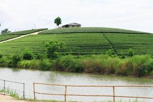 aéreo ver colina tribu pueblo y té plantación en amanecer en el montaña y río es muy hermosa ver en Chiang Rai provincia, tailandia foto