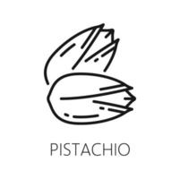 Open pistachio nut in hard shell outline icon vector