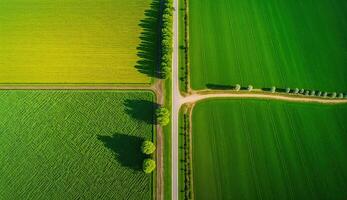 generativo ai, granja paisaje, agrícola campos, hermosa campo, país la carretera. naturaleza ilustración, fotorrealista parte superior ver zumbido, horizontal bandera. foto