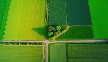 generativo ai, granja paisaje, agrícola campos, hermosa campo, país la carretera. naturaleza ilustración, fotorrealista parte superior ver zumbido, horizontal bandera. foto