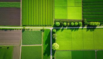 , Farm landscape, agricultural fields, beautiful countryside, country road. Nature Illustration, photorealistic top view drone, horizontal banner. photo