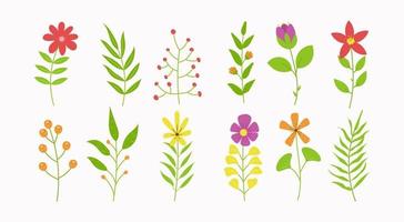 Flat flowers set collection. simple floral illustration. botanical spring and summer leaves for decoration. vector graphic element