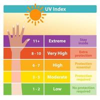 The ultraviolet index chart with tanned skin vector. UV index scale that represents the intensity of UV radiation produced by the sun and get tanned and burned. Skin care and beauty concept. vector