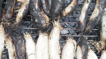 Calcots a traditional catalan root vetetable to cook in early springtime barbecue video