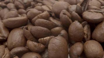 Close up macro video of camera traveling over brown coffee beans