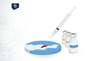 Vaccination in Vermont with different type of COVID-19 vaccine. Concept with the vaccine injection in the map of Vermont. vector