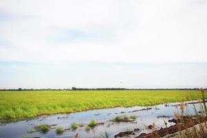 hermosa paisaje de Fresco verde arroz campos y plantaciones cerca canal en Tailandia foto