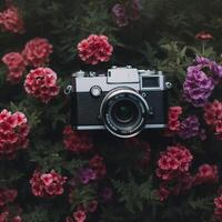 hermosa cámara con hermosa vistoso flores generativo ai foto