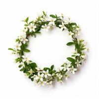 A circle shaped border of a small flowers on white background photo