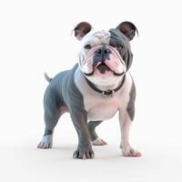 American Bully dog in happy style on white background photo