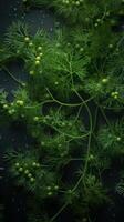 dill twigs seamless background visible drops of water photo