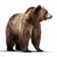 un marrón oso aislado en blanco antecedentes generativo ai foto
