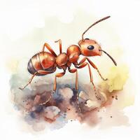 A watercolor illustration of a fire ant on white background photo