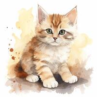 A watercolor illustration painting of a brown kitten photo