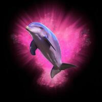 A beautiful pink dolphin on pink light and black background photo