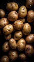 Potatoes seamless background visible drops of water photo