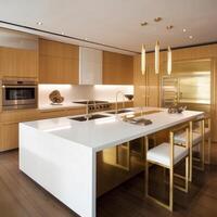 A hyper-modern kitchen of royal house photo