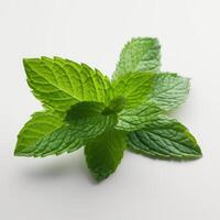 An elegant composition of a single fresh mint leaf on white background generative AI photo