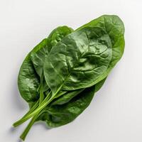 A composition of a fresh green spinach photo