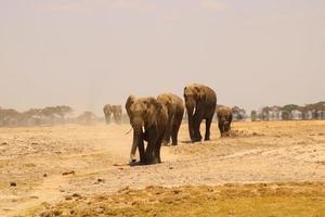 áspero tierra naturaleza 2023 foto