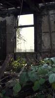 les vestiges d'un bâtiment abandonné video