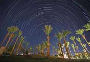 night in Egypt, palm trees against star trails in night sky photo