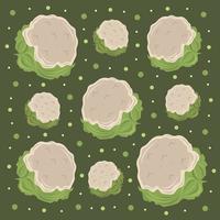 Cauliflower vector illustration for graphic design and decorative element