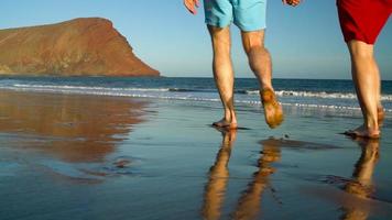 Pareja en amor despreocupado caminando a el agua en el playa. pintoresco Oceano costa de tenerife, canario islas, España video