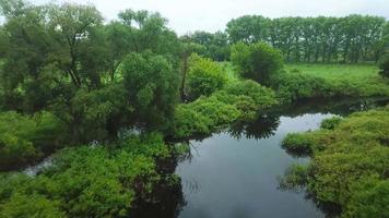 Flight over a quiet river surrounded by green trees at sunset video