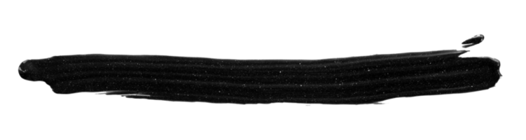 negro cepillo aislado en transparente antecedentes png