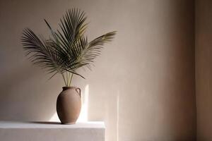 indoor view with pot and palm leaves photo