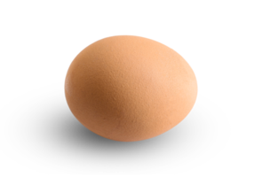 Isolated chicken eggs on a transparent background.png png