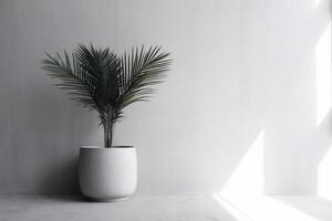 indoor view with pot and palm leaves photo