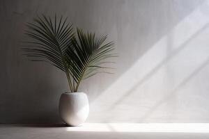 indoor view with pot and palm leaves photo