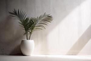 indoor view with pot and palm leaves photo