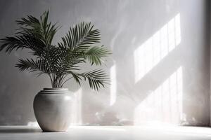 indoor view with pot and palm leaves photo