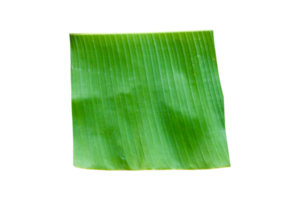 Banana leaf isolated on transparent background Fresh green banana leaves. png