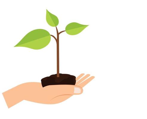 Planting Seeds Vector Art Icons And Graphics For Free Download Planting Seeds Vector Art Icons And Graphics For Free Download
